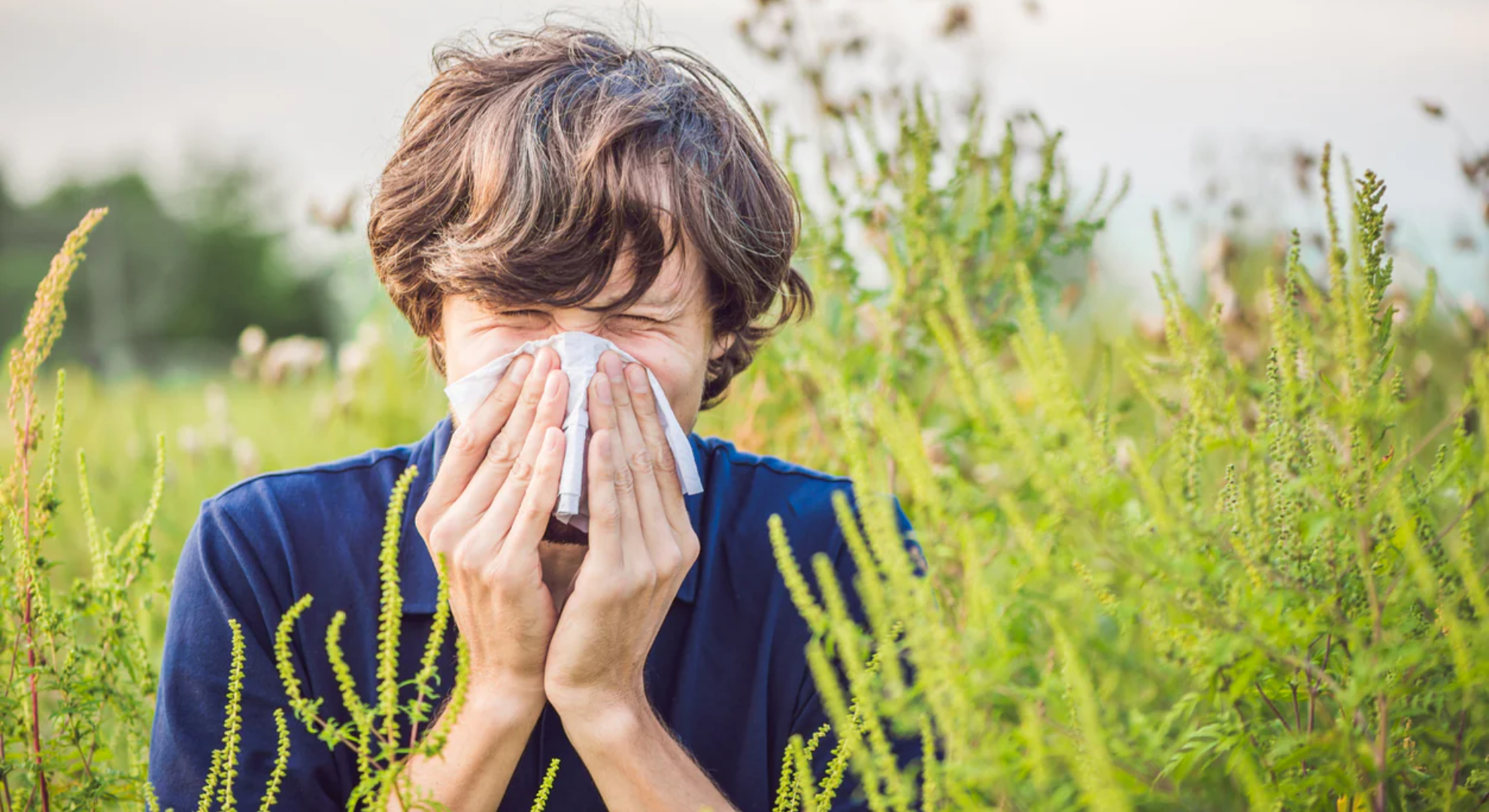 Allergy Sympthoms In Summer Nasal Red Light Therapy