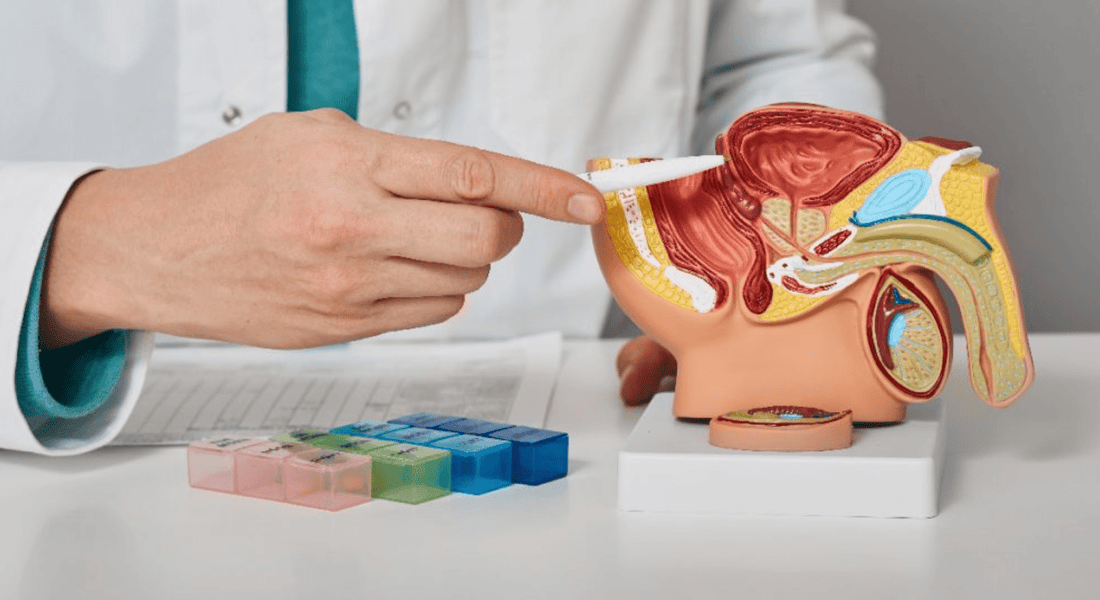 Prostate Health And The Red Light Therapy Benefits