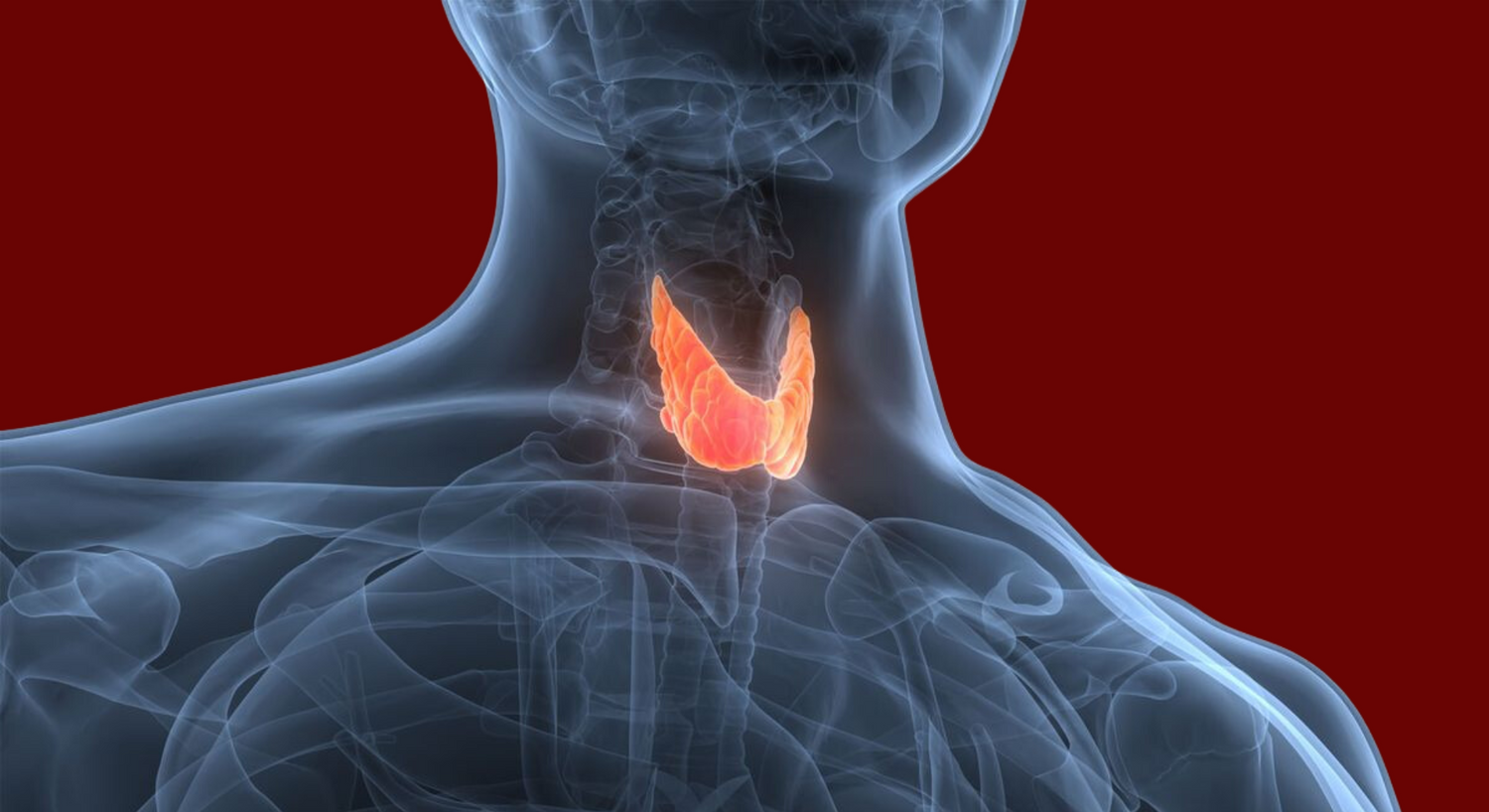 Thyroid Hormon Production And Red Light Therapy Benefits