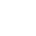 No More Brain Fog